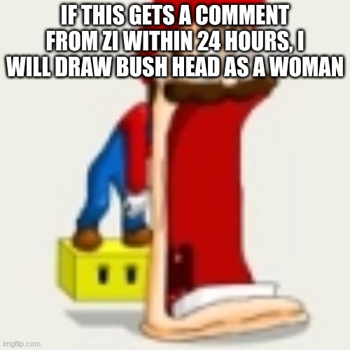 mario jaw drop | IF THIS GETS A COMMENT FROM ZI WITHIN 24 HOURS, I WILL DRAW BUSH HEAD AS A WOMAN | image tagged in mario jaw drop | made w/ Imgflip meme maker