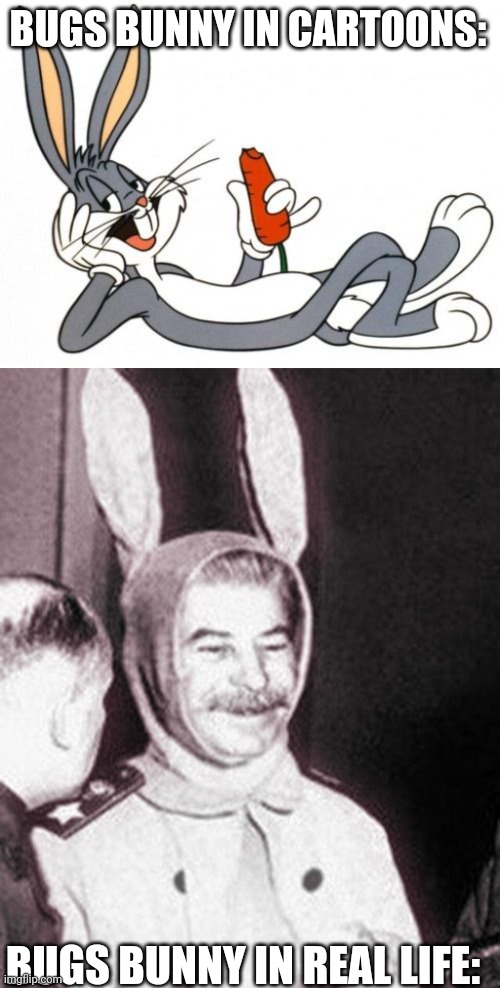 Bugs bunny and papa Stalin bunny | BUGS BUNNY IN CARTOONS:; BUGS BUNNY IN REAL LIFE: | image tagged in stalin bunny,looney tunes,bugs bunny,joseph stalin,gulag,soviet union | made w/ Imgflip meme maker