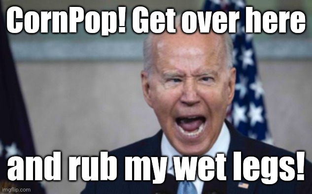 Biden Scream | CornPop! Get over here; and rub my wet legs! | image tagged in obama,biden,pedophile,dementia,treason,criminal | made w/ Imgflip meme maker