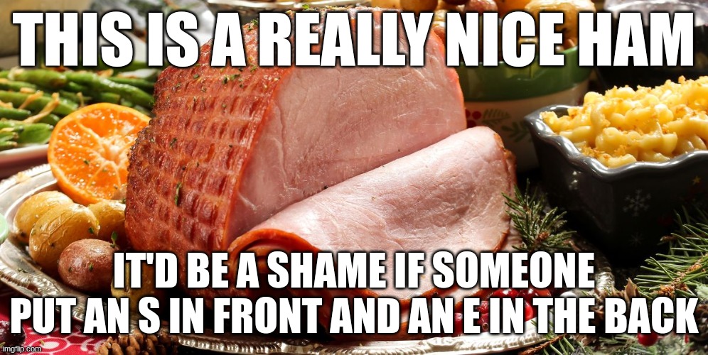 THIS IS A REALLY NICE HAM; IT'D BE A SHAME IF SOMEONE PUT AN S IN FRONT AND AN E IN THE BACK | made w/ Imgflip meme maker
