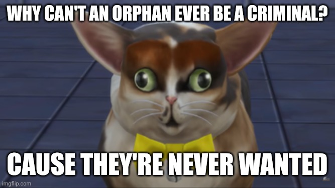 Daily dose of dark humor | WHY CAN'T AN ORPHAN EVER BE A CRIMINAL? CAUSE THEY'RE NEVER WANTED | image tagged in spleens the cat | made w/ Imgflip meme maker