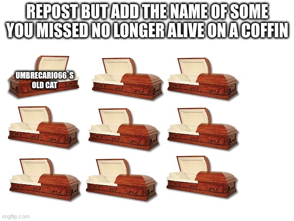 ... | REPOST BUT ADD THE NAME OF SOME YOU MISSED NO LONGER ALIVE ON A COFFIN; UMBRECARIO66`S OLD CAT | image tagged in blank white template,repost | made w/ Imgflip meme maker
