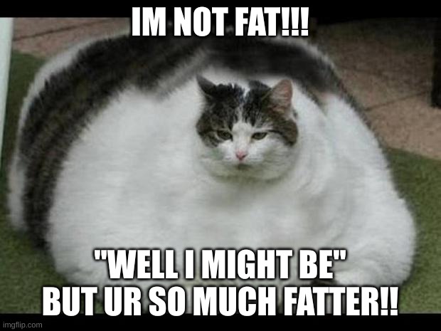 fat cat 2 | IM NOT FAT!!! "WELL I MIGHT BE" BUT UR SO MUCH FATTER!! | image tagged in fat cat 2 | made w/ Imgflip meme maker