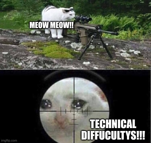 Sniper cat | MEOW MEOW!! TECHNICAL DIFFUCULTYS!!! | image tagged in sniper cat | made w/ Imgflip meme maker