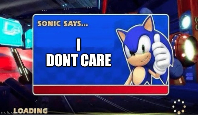 Sonic Says | I DONT CARE | image tagged in sonic says | made w/ Imgflip meme maker