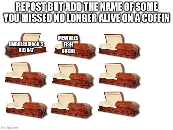 zad | MEWVEES FISH SUSHI | image tagged in zadder | made w/ Imgflip meme maker