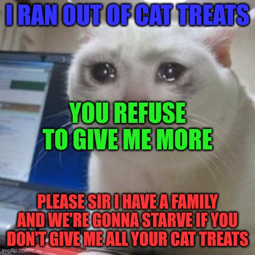 Crying cat | I RAN OUT OF CAT TREATS; YOU REFUSE TO GIVE ME MORE; PLEASE SIR I HAVE A FAMILY AND WE'RE GONNA STARVE IF YOU DON'T GIVE ME ALL YOUR CAT TREATS | image tagged in crying cat | made w/ Imgflip meme maker