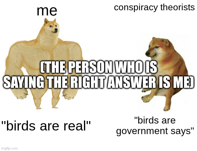 birds are real | me; conspiracy theorists; (THE PERSON WHO IS SAYING THE RIGHT ANSWER IS ME); "birds are real"; "birds are government says" | image tagged in memes,buff doge vs cheems | made w/ Imgflip meme maker