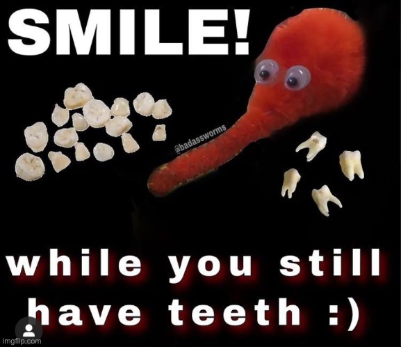 Those are some nice teeth you’ve got there it would be a shame if someone stole them :) | made w/ Imgflip meme maker