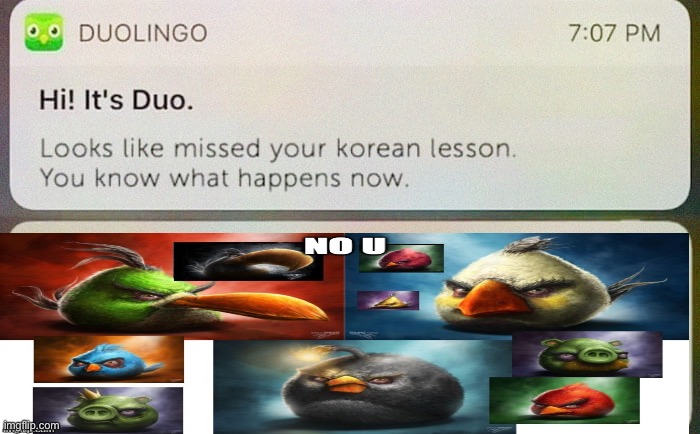 DuoLingo | image tagged in duolingo | made w/ Imgflip meme maker