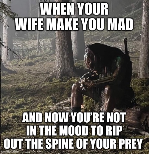 Moody. | WHEN YOUR WIFE MAKE YOU MAD; AND NOW YOU’RE NOT IN THE MOOD TO RIP OUT THE SPINE OF YOUR PREY | image tagged in sad predator | made w/ Imgflip meme maker