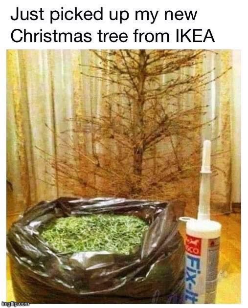 image tagged in memes,funny | made w/ Imgflip meme maker