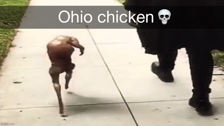 watch the video on youtub | image tagged in ohio,chicken | made w/ Imgflip meme maker