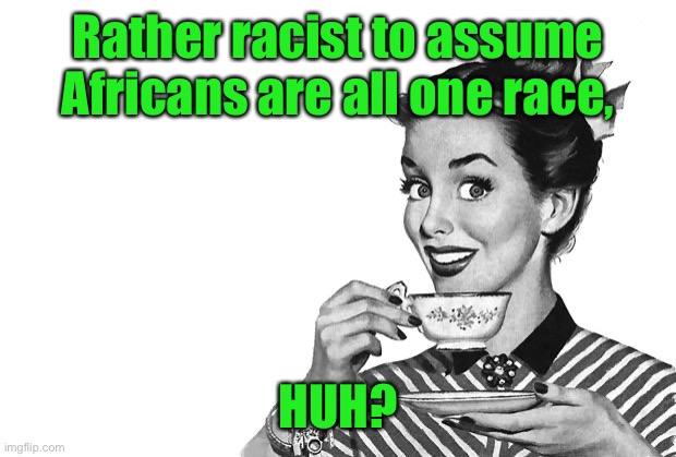 1950s Housewife | Rather racist to assume Africans are all one race, HUH? | image tagged in 1950s housewife | made w/ Imgflip meme maker