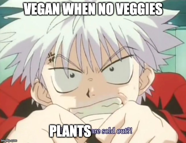 True no offense | VEGAN WHEN NO VEGGIES; PLANTS | image tagged in killua mad,no offense | made w/ Imgflip meme maker