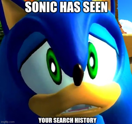 your a wild one sonic | SONIC HAS SEEN; YOUR SEARCH HISTORY | image tagged in sonic the hedgehog,gaming,search history | made w/ Imgflip meme maker