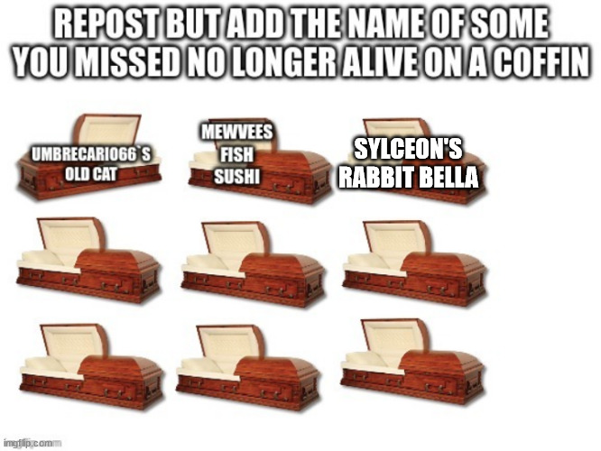 SYLCEON'S RABBIT BELLA | made w/ Imgflip meme maker