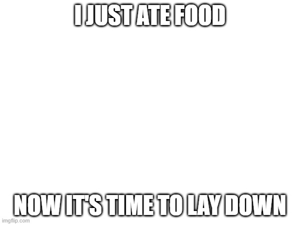 this should end well, right? | I JUST ATE FOOD; NOW IT'S TIME TO LAY DOWN | made w/ Imgflip meme maker