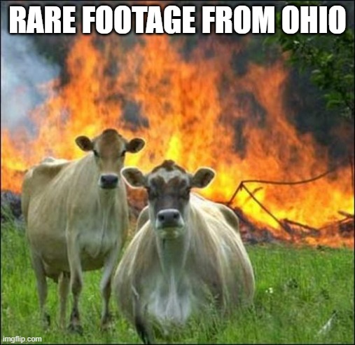 Evil Cows | RARE FOOTAGE FROM OHIO | image tagged in memes,evil cows | made w/ Imgflip meme maker