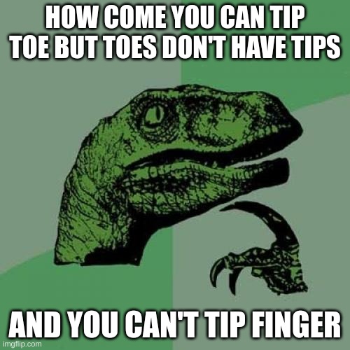 Philosoraptor | HOW COME YOU CAN TIP TOE BUT TOES DON'T HAVE TIPS; AND YOU CAN'T TIP FINGER | image tagged in memes,philosoraptor | made w/ Imgflip meme maker