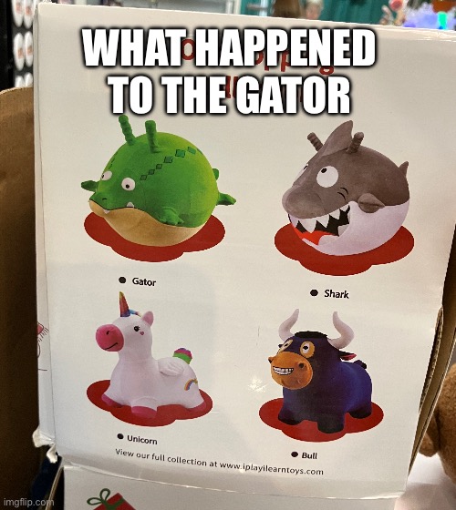 Gator | WHAT HAPPENED TO THE GATOR | image tagged in memes | made w/ Imgflip meme maker