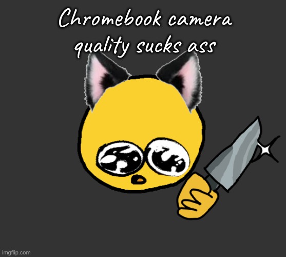 i just want a fcking phone man | Chromebook camera quality sucks ass | image tagged in no bitches | made w/ Imgflip meme maker