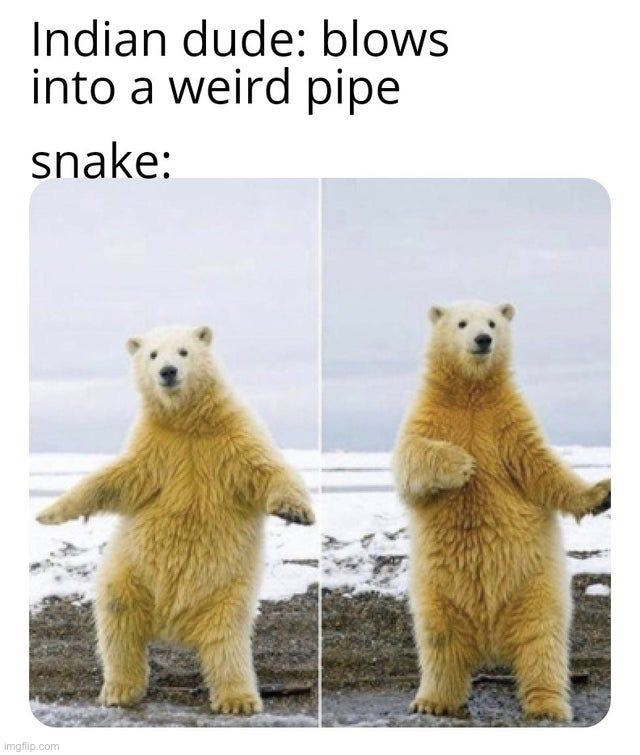 image tagged in memes,funny | made w/ Imgflip meme maker
