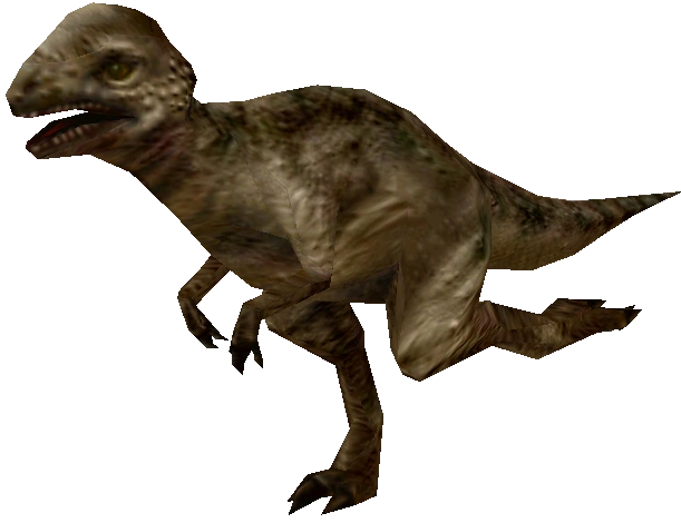 High Quality Pachycephalosaurus (FMM UV-32) Blank Meme Template
