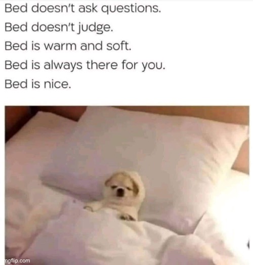 image tagged in bed | made w/ Imgflip meme maker