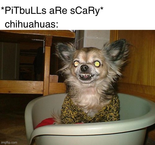 image tagged in dog,chihuahua,demon | made w/ Imgflip meme maker