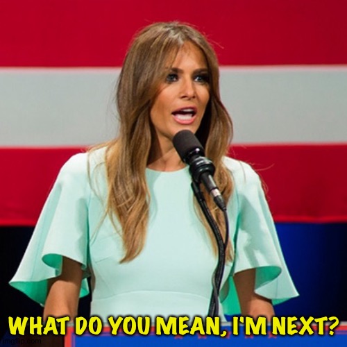 Melania Trump | WHAT DO YOU MEAN, I'M NEXT? | image tagged in melania trump | made w/ Imgflip meme maker