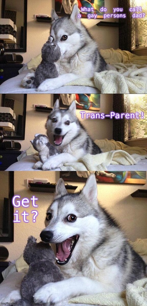 Huskey Dog Laugh | What do you call a gay persons dad? Trans-Parent! Get it? | image tagged in stop reading the tags,why are you reading this,stop it,now | made w/ Imgflip meme maker