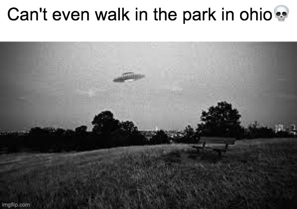 ? | Can't even walk in the park in ohio💀 | image tagged in ohio,ohio state | made w/ Imgflip meme maker