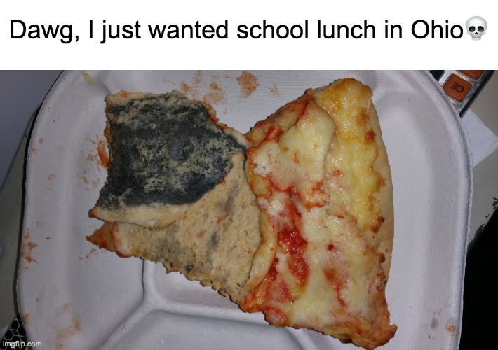 Dawg, I just wanted school lunch in Ohio💀 | image tagged in ohio,lunch | made w/ Imgflip meme maker