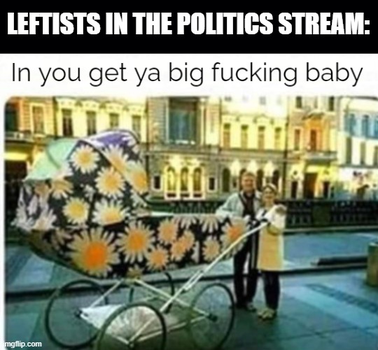 LEFTISTS IN THE POLITICS STREAM: | image tagged in black background,in you get ya big fucking baby | made w/ Imgflip meme maker