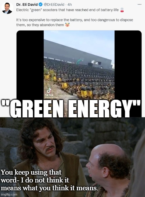 Anyone that buys the "green" energy nonsense doesn't get it. | "GREEN ENERGY"; You keep using that word- I do not think it means what you think it means. | image tagged in green,renewable energy,waste,corruption,lies | made w/ Imgflip meme maker