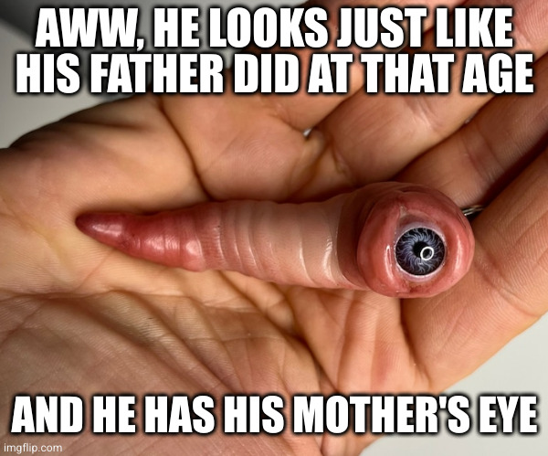 AWW, HE LOOKS JUST LIKE HIS FATHER DID AT THAT AGE; AND HE HAS HIS MOTHER'S EYE | image tagged in baby | made w/ Imgflip meme maker