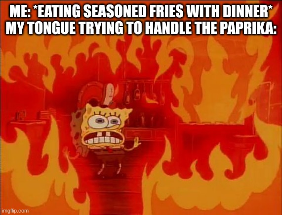 Burning Spongebob | ME: *EATING SEASONED FRIES WITH DINNER*
MY TONGUE TRYING TO HANDLE THE PAPRIKA: | image tagged in burning spongebob | made w/ Imgflip meme maker