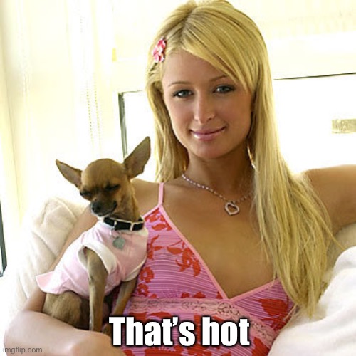 Paris Hilton | That’s hot | image tagged in paris hilton | made w/ Imgflip meme maker