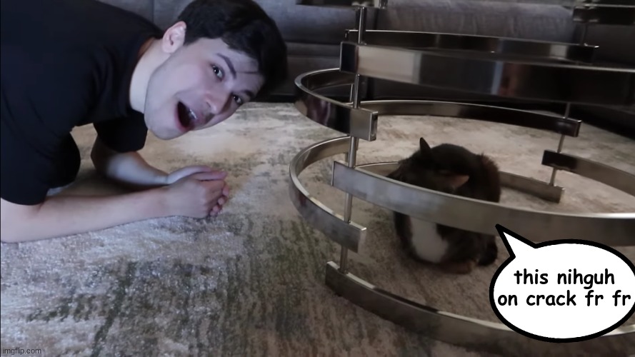 George meets Dreams (racist) cat | this nihguh on crack fr fr | image tagged in george meets dreams cat | made w/ Imgflip meme maker