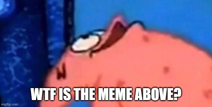Patrick looking up | WTF IS THE MEME ABOVE? | image tagged in patrick looking up | made w/ Imgflip meme maker