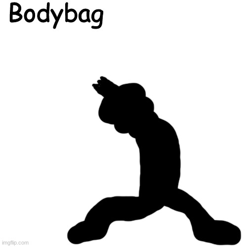 "you put that dude in a body bag" the body bag in question: | Bodybag | made w/ Imgflip meme maker