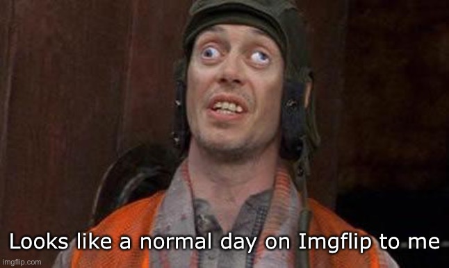 Imgflip normalcy | Looks like a normal day on Imgflip to me | image tagged in looks good to me,imgflip,imgflip users,meanwhile on imgflip | made w/ Imgflip meme maker