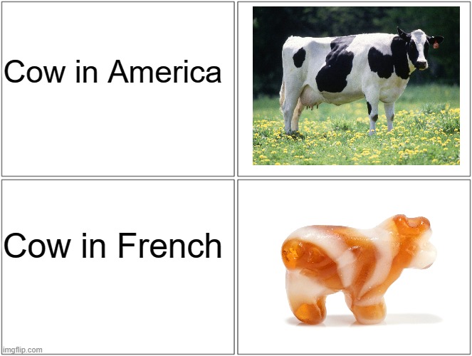 Blank Comic Panel 2x2 | Cow in America; Cow in French | image tagged in memes,blank comic panel 2x2,funny,facts,bruh,hilarious | made w/ Imgflip meme maker