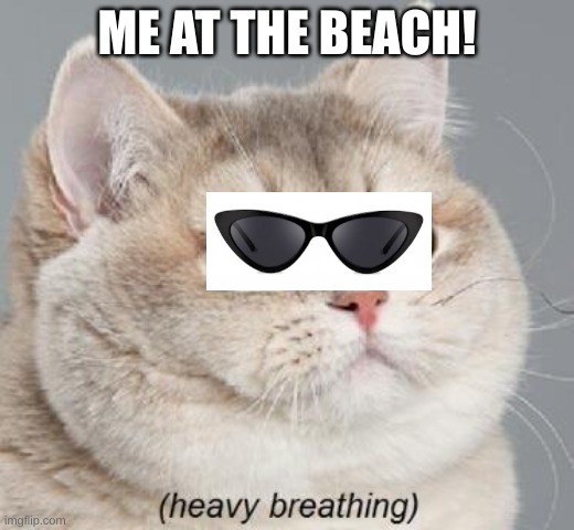 Heavy Breathing Cat | ME AT THE BEACH! | image tagged in memes,heavy breathing cat | made w/ Imgflip meme maker