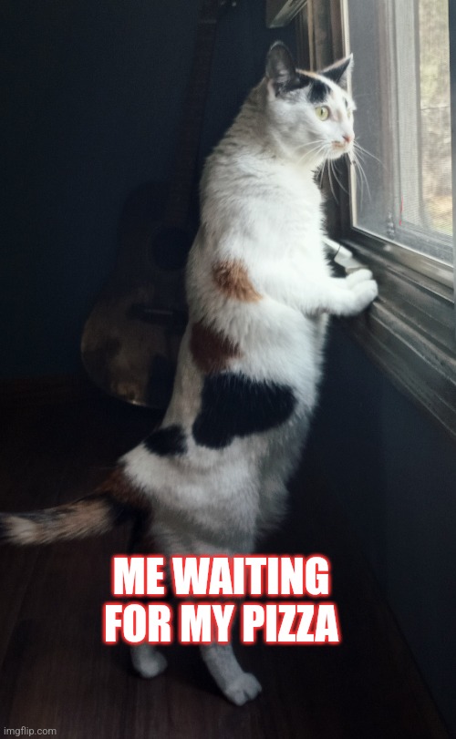 Pizza | ME WAITING FOR MY PIZZA | image tagged in funny memes | made w/ Imgflip meme maker