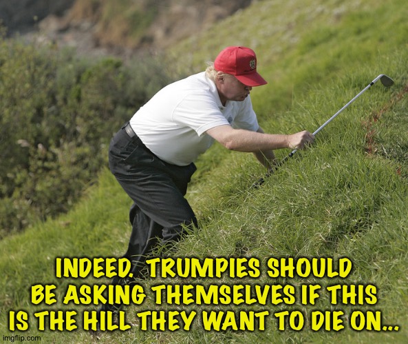 trump golfing | INDEED.  TRUMPIES SHOULD BE ASKING THEMSELVES IF THIS IS THE HILL THEY WANT TO DIE ON... | image tagged in trump golfing | made w/ Imgflip meme maker
