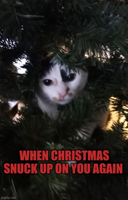 Christmas Again | WHEN CHRISTMAS SNUCK UP ON YOU AGAIN | image tagged in christmas | made w/ Imgflip meme maker