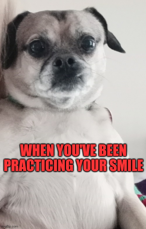 Forced Smile | WHEN YOU'VE BEEN PRACTICING YOUR SMILE | image tagged in fake smile | made w/ Imgflip meme maker