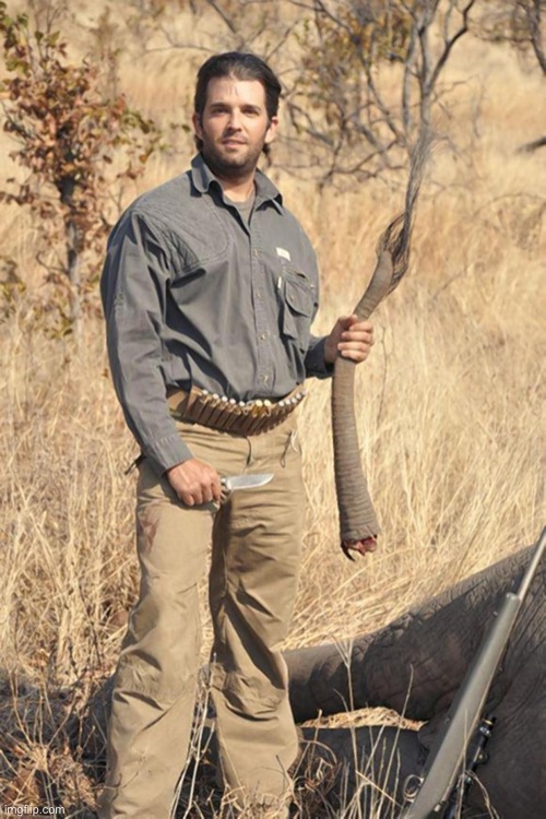 donald trump jr | image tagged in donald trump jr | made w/ Imgflip meme maker